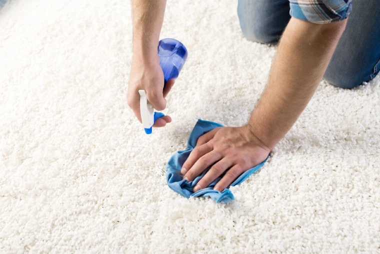 Deep carpet cleaning service to remove stains and dirt